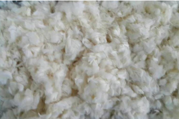 lol竞猜平台科技