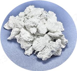 lol竞猜平台科技