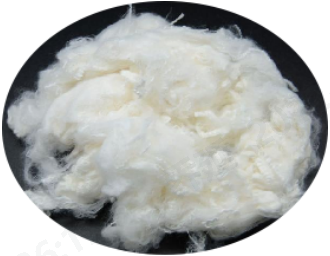 lol竞猜平台科技