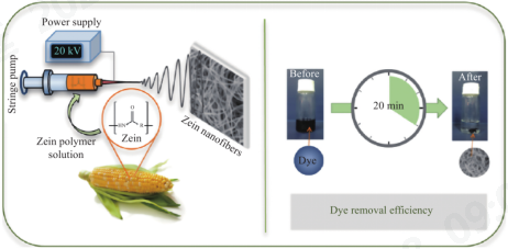lol竞猜平台科技